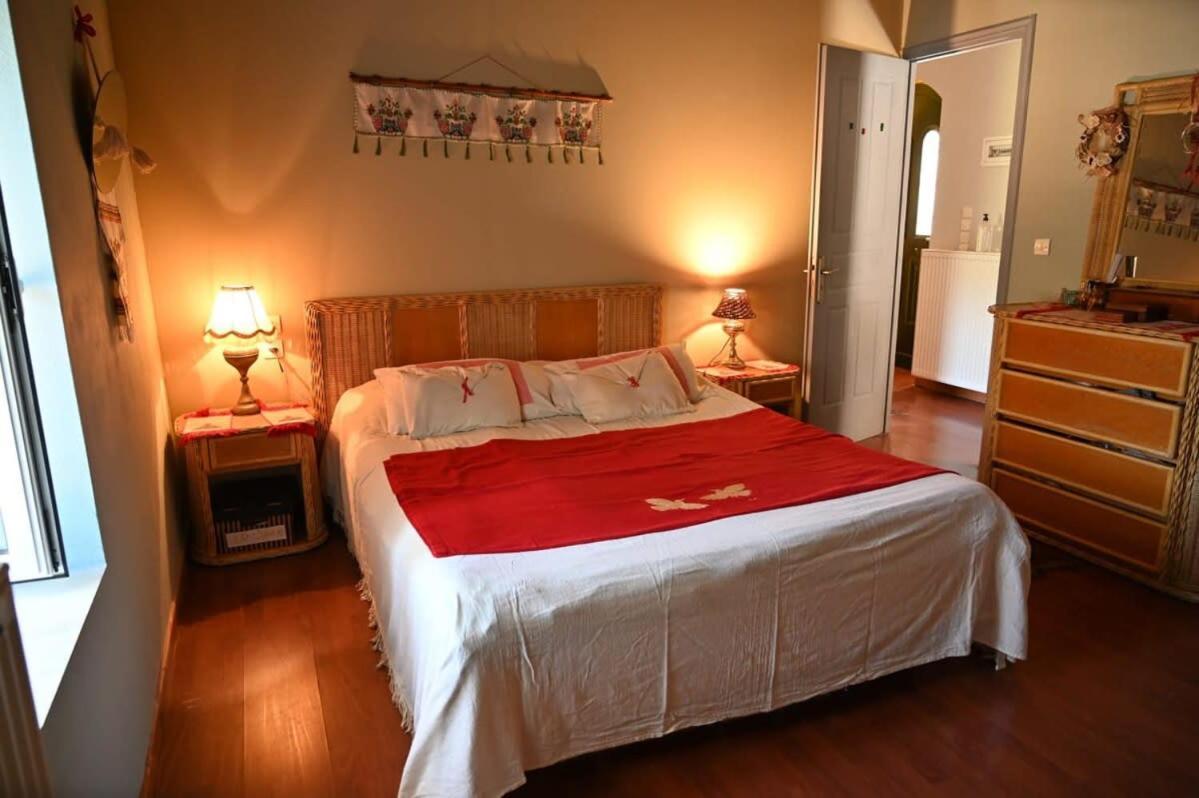 Kalavrita Winter Retreat - Homely Spacious Chalet Ano Vlasia Exterior foto
